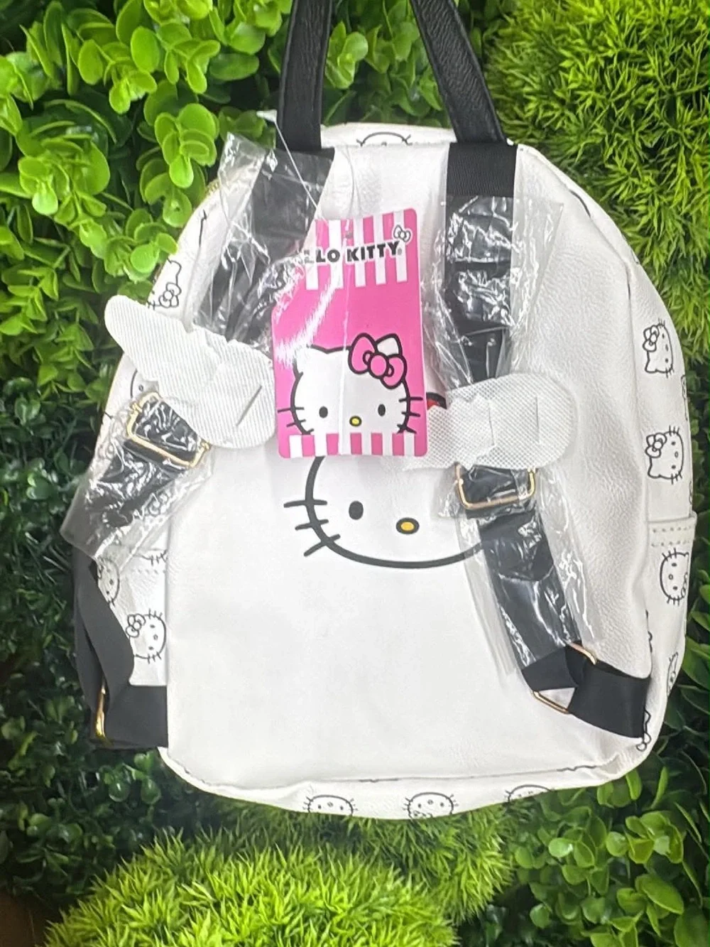Hello Kitty cute hello